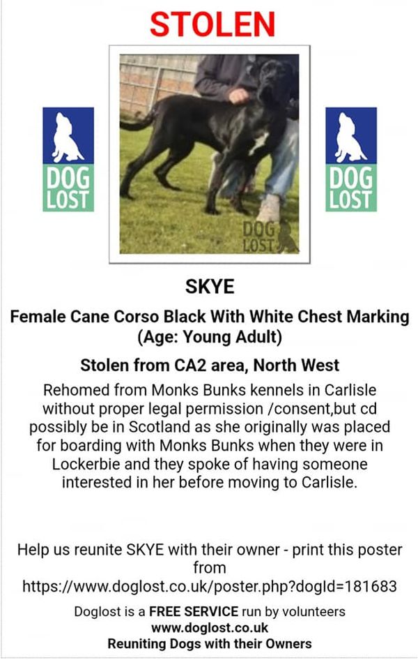 The Animal Team tweet media