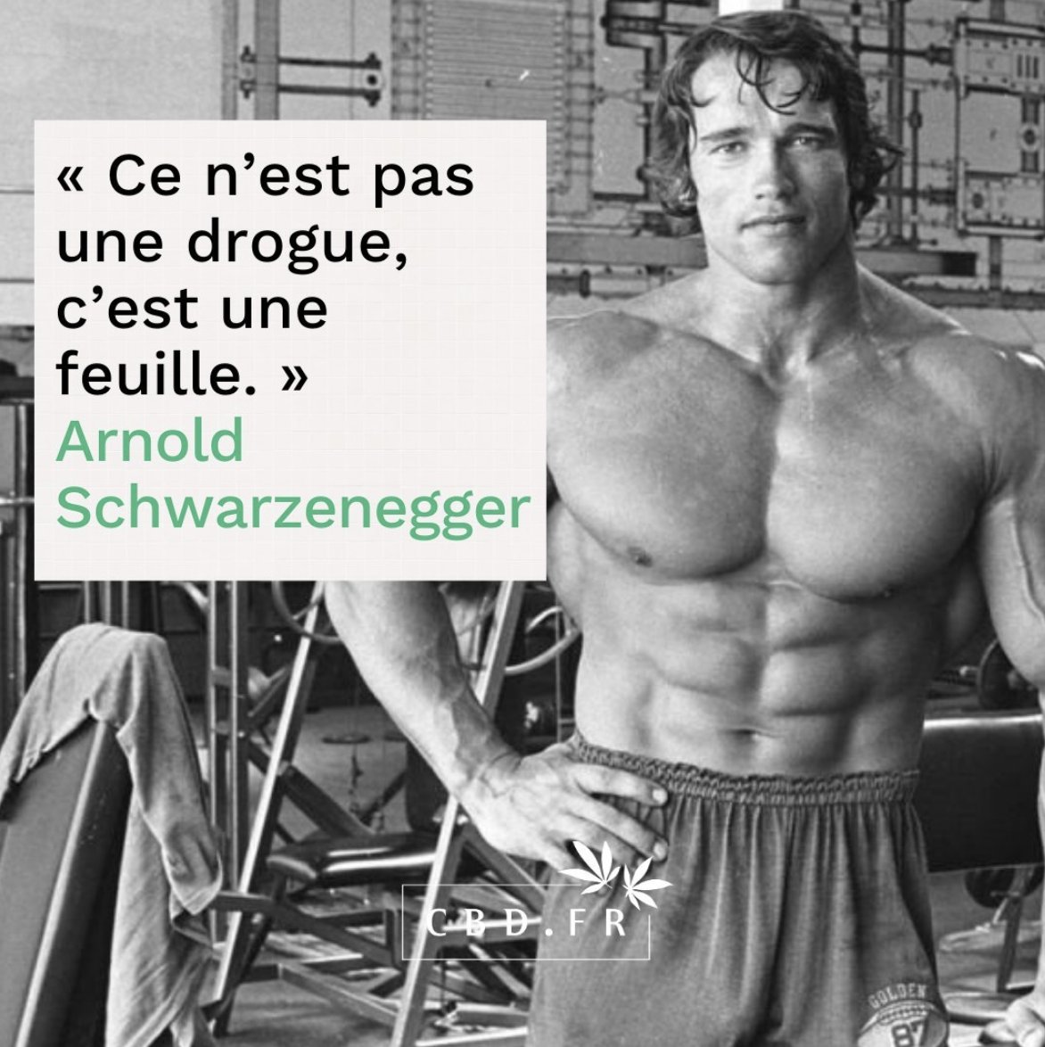 cbd_fr's tweet image. Saviez-vous que le CBD est considéré comme un super-aliment ? ✨

Rendez-vous sur CBD.FR pour TOUT savoir sur le CBD 🥦

#chanvre #détente #anxiété #sommeil #insomnie #herboristerie #citation #activisme #herboriste #naturopathie #plantesmedicinales #remede #cbdfr