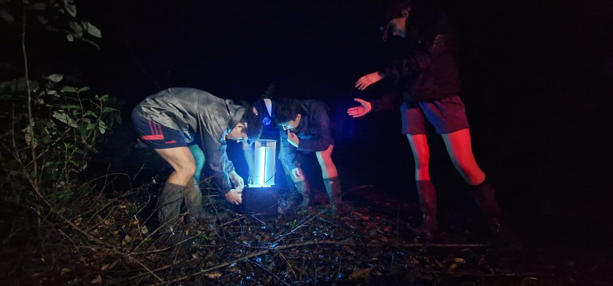 UCDTropicalEcology tweet media