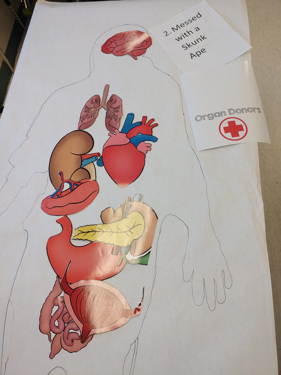 Turning Lavern Gaynor into a Sacred Heart hospital. Definitely have. Few JD's, a few Turks and me, Dr. Cox.   Students diagnose patients, and find a donor organ! <a href="/lgeseaturtles/">Lavern Gaynor Elementary</a> <a href="/CCPS/">Charles County Public Schools</a> <a href="/EpicAdventure/">Jenna Green</a>.