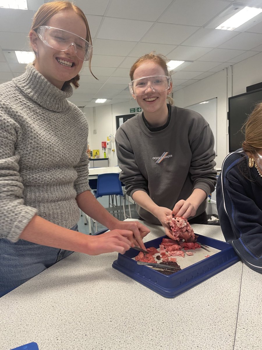 My wonderful Yr12 Biologists 👩🏻‍🔬🧬🔬staying after school to get dissecting ⁦@WimbledonHigh⁩ ⁦@Head_WHS⁩ ⁦@WHSSixthForm⁩ #grow #lovebiology ♥️