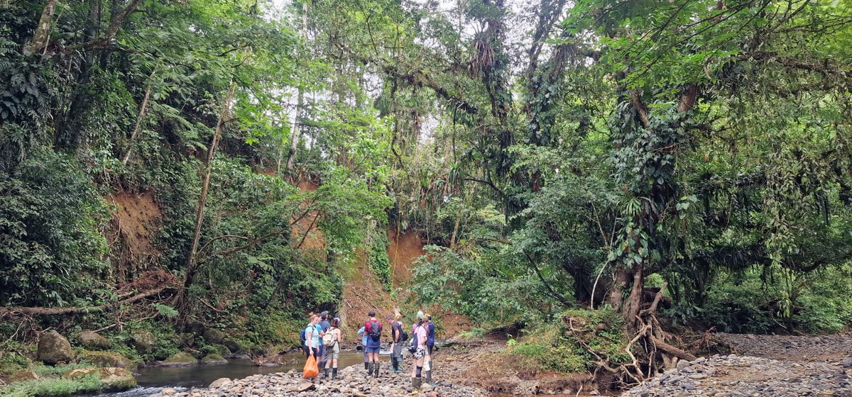 UCDTropicalEcology tweet media