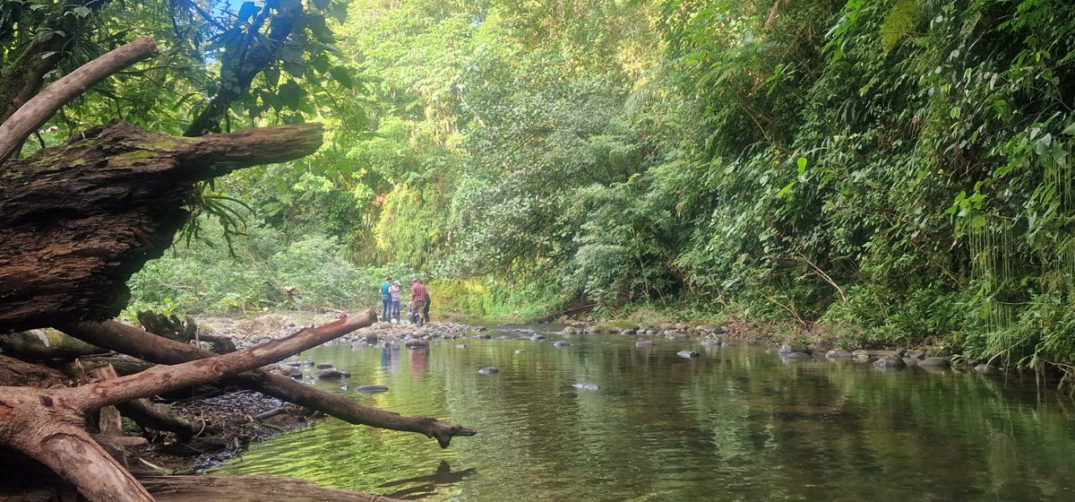 UCDTropicalEcology tweet media