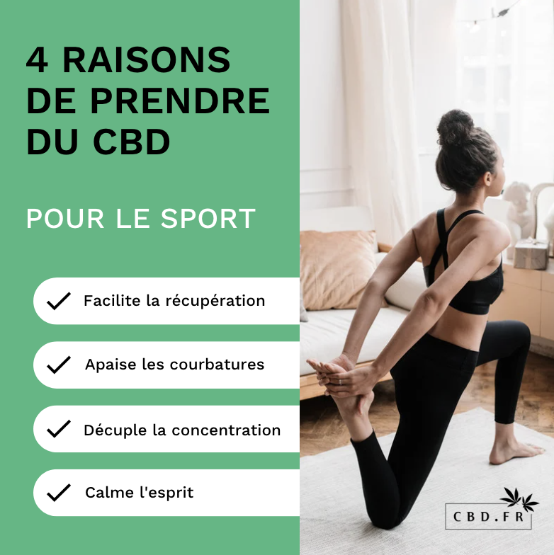cbd_fr's tweet image. Le CBD est le nouvel allié des sportifs 💚

#cbdfrance #huiledecbd #cbdfr #chanvre #chanvrebio #huiledechanvre #cbd #phytocannswiss #fitnessmotivation #bienetre #sportextreme #fitnessfrance #remiseenforme #conseilssport #repriseenmain #musculationfrance