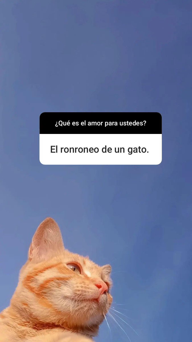 arredondoden's tweet photo. ¿Qué es el amor?  
Instagram: @arredondoden 💜 https://t.co/xXftWd4Jem
