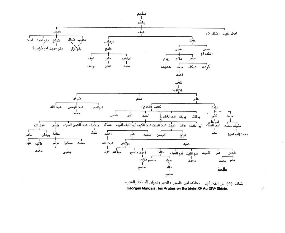🇹🇳 | Tribus de Sulaym b. Mansūr et carte des villages du Sahel tunisien après le 13ème siècle (H) :