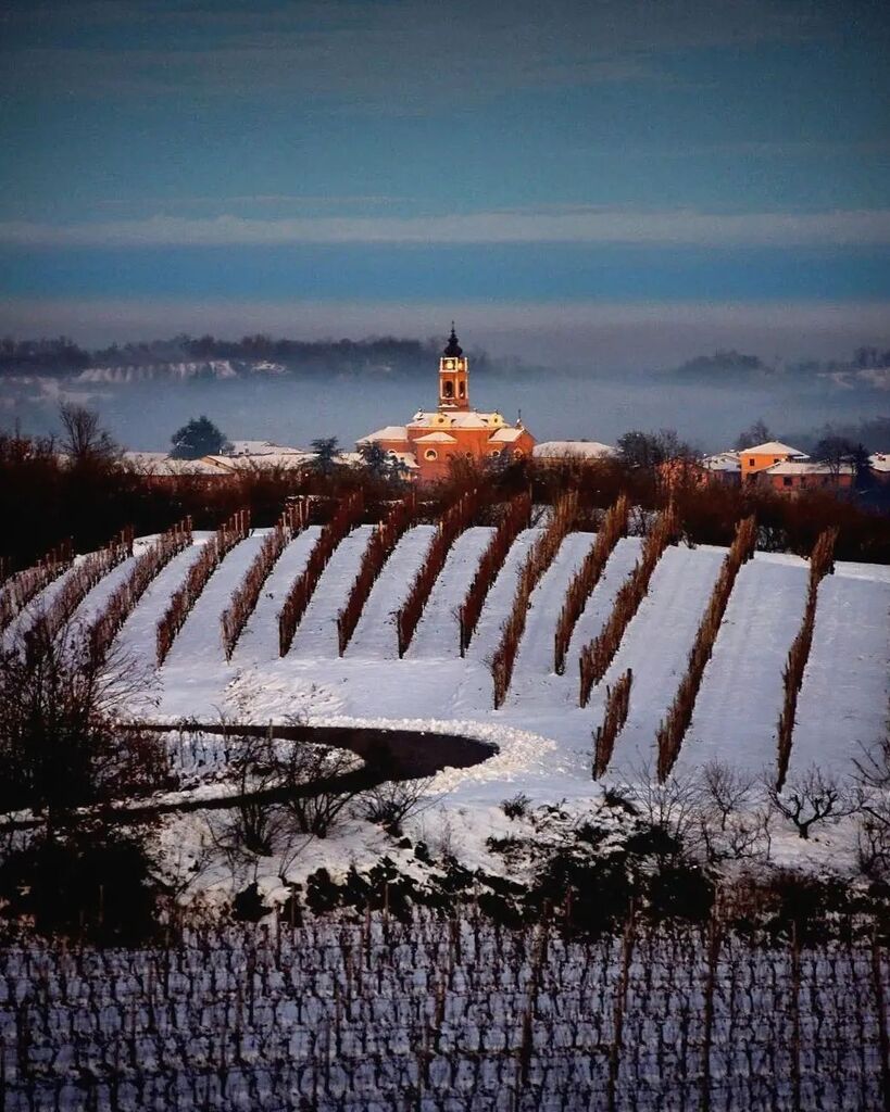 ig_piemonte's tweet image. presenta

🖼️ Langhe Roero e Monferrato patrimonio collinare dell&apos;UNESCO 
📍San Rocco, frazione di Monta&apos;

AUTORE @sergio55casetta56 

MOD @lauradistrattta @alicetticola
ADMIN @berenguez 
TAG #ig_piemonte #piemonte
MAIL piemonte@igworldclub.it
SOCIAL
· Facebook.com/igpiemontevalle…