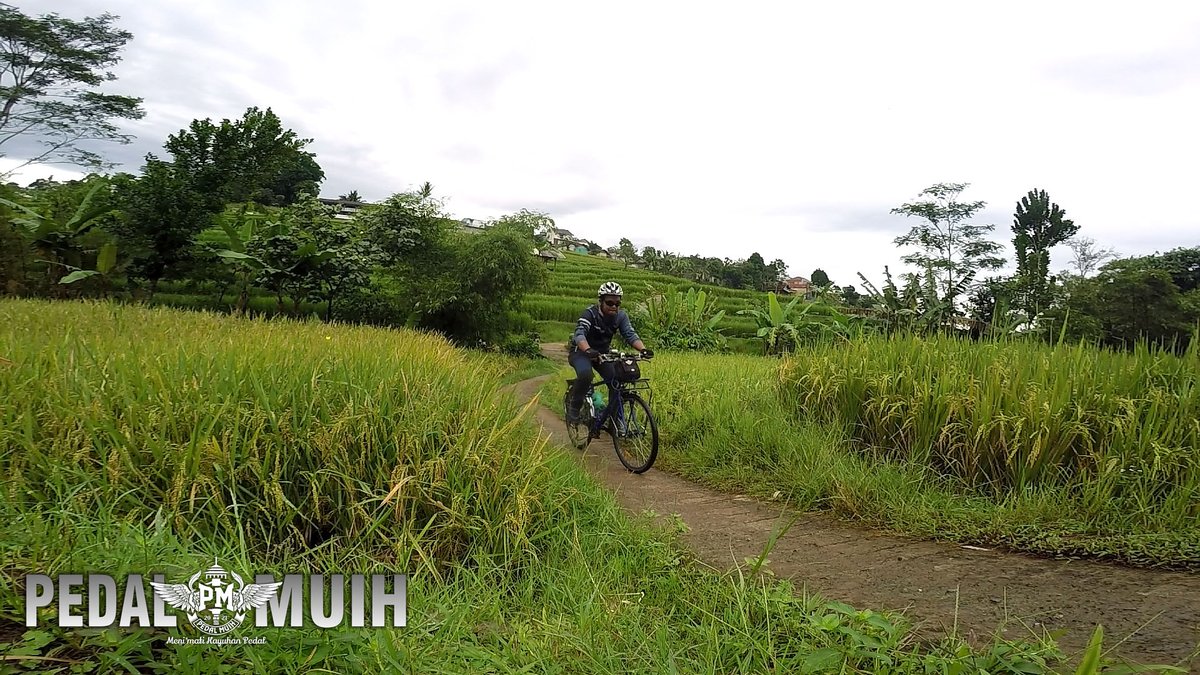 Pedal Muih tweet media
