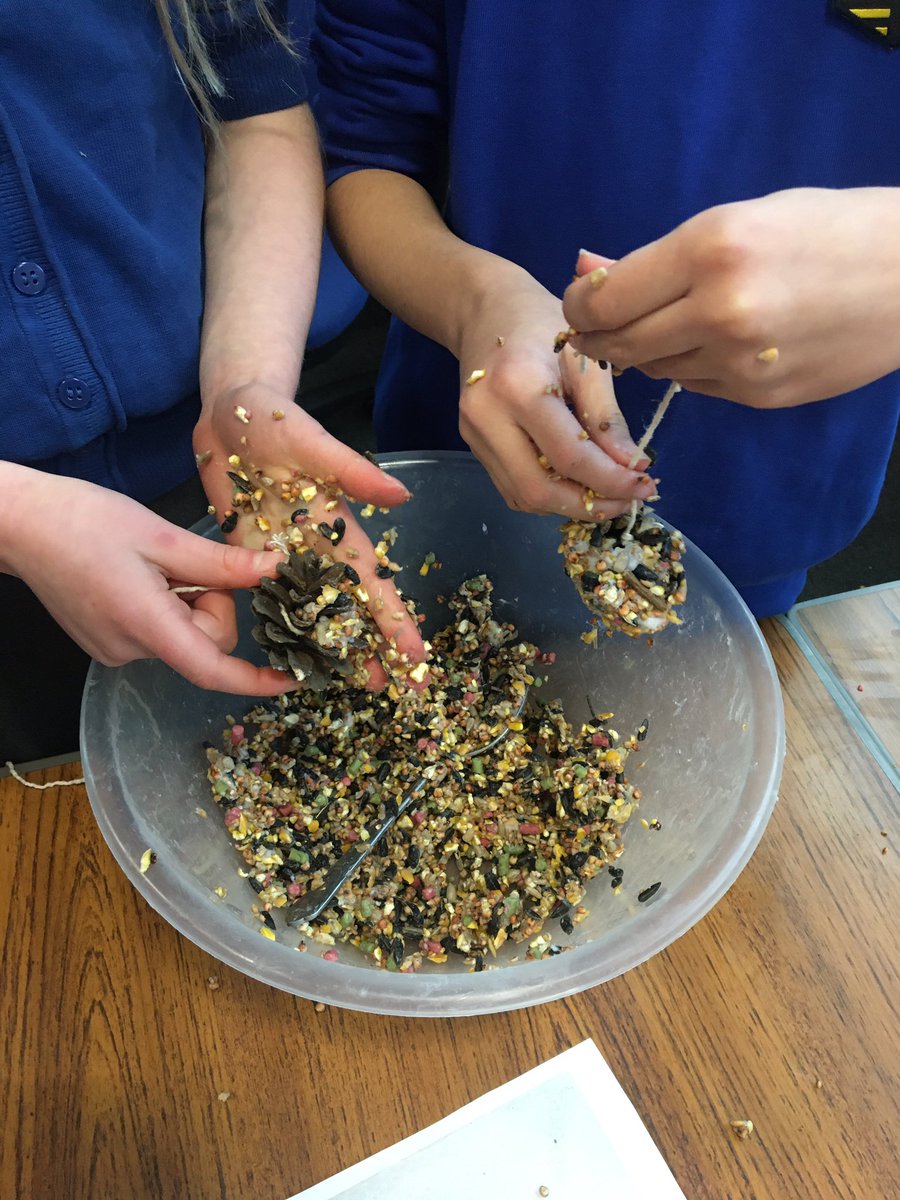 MrsDuffus's tweet photo. We are responsible learners in P3D and are taking care of our local wildlife. We made pine cone bird feeders to keep the Scottish birds and wildlife fully fed during the cold winter months. @FerryhillSchoo1 . #scottishwildlife #scotlandtopic #caringforourenvironment https://t.co/SxrFFClTYB