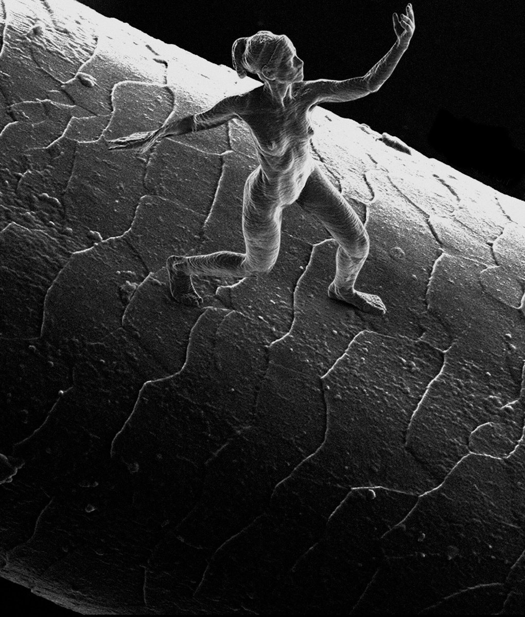 the world's smallest sculpture of a human on a human hair seen through an electron microscope