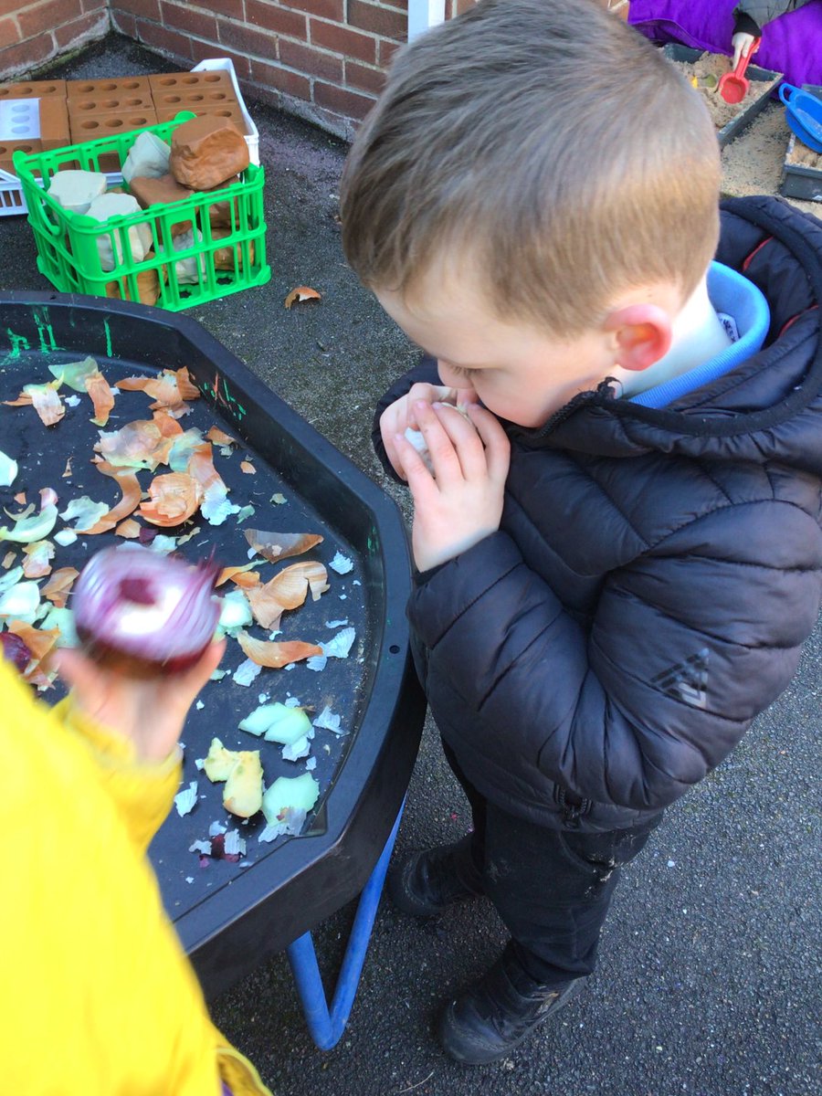 BraeburnPrimary's tweet photo. Team 🦁&🐯have loved exploring different root vegetables following on from our story ‘The Enormous Turnip’. We explored the different patterns we found and discussed the smells and textures.
#braeburneyfs #braeburnscience #eyfs #edutwitter
@eboractrust https://t.co/CMFdjJlskG