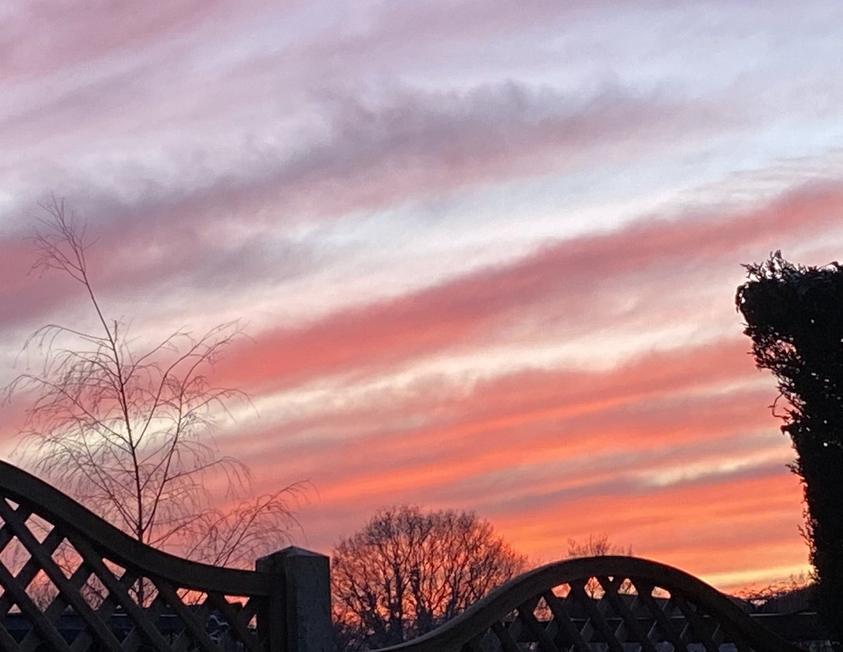 Danielle Benson tweet media