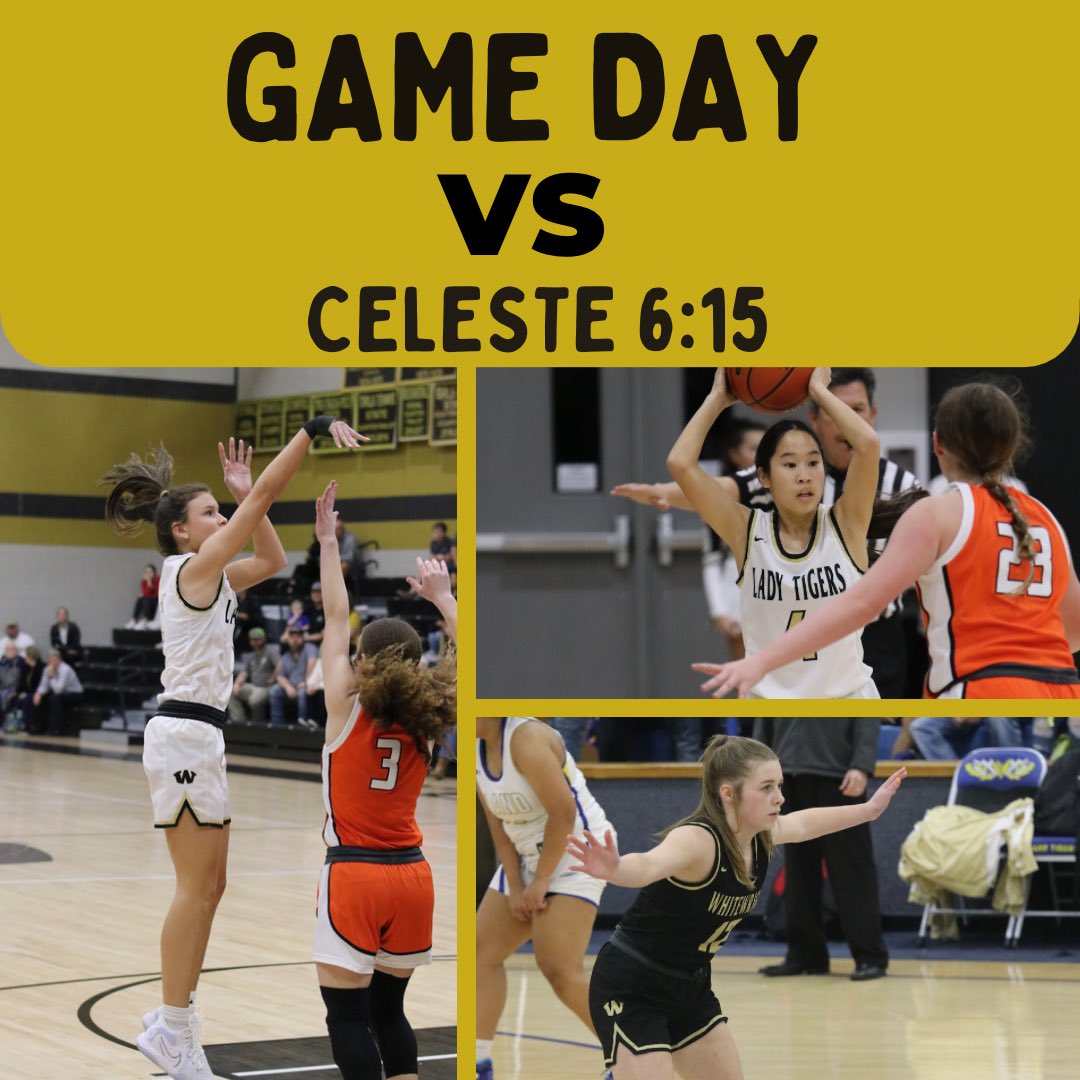 WWLadyTigerBB's tweet image. Second round of district starts tonight! Come support the girls at home against Celeste at 6:15!
#getone