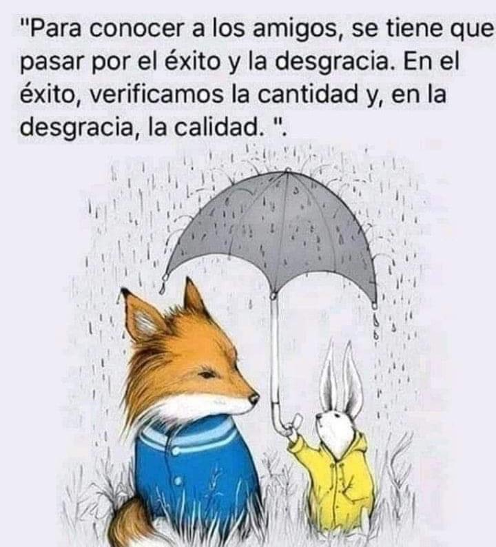 Paulo Coelho Español (@paulocoelhodice) on Twitter photo 