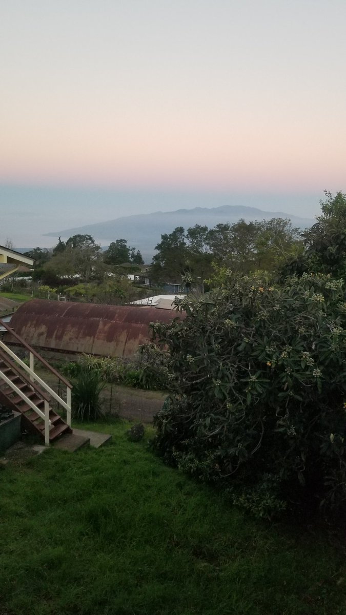 Wharfrat2004's tweet photo. Good morning from Maui! #UpperKula #Coffeefarms https://t.co/SOM3Uqp2F0