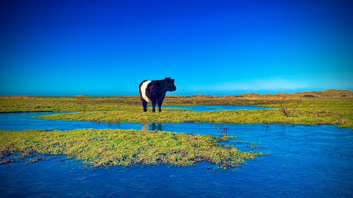 Jake Fiennes tweet media