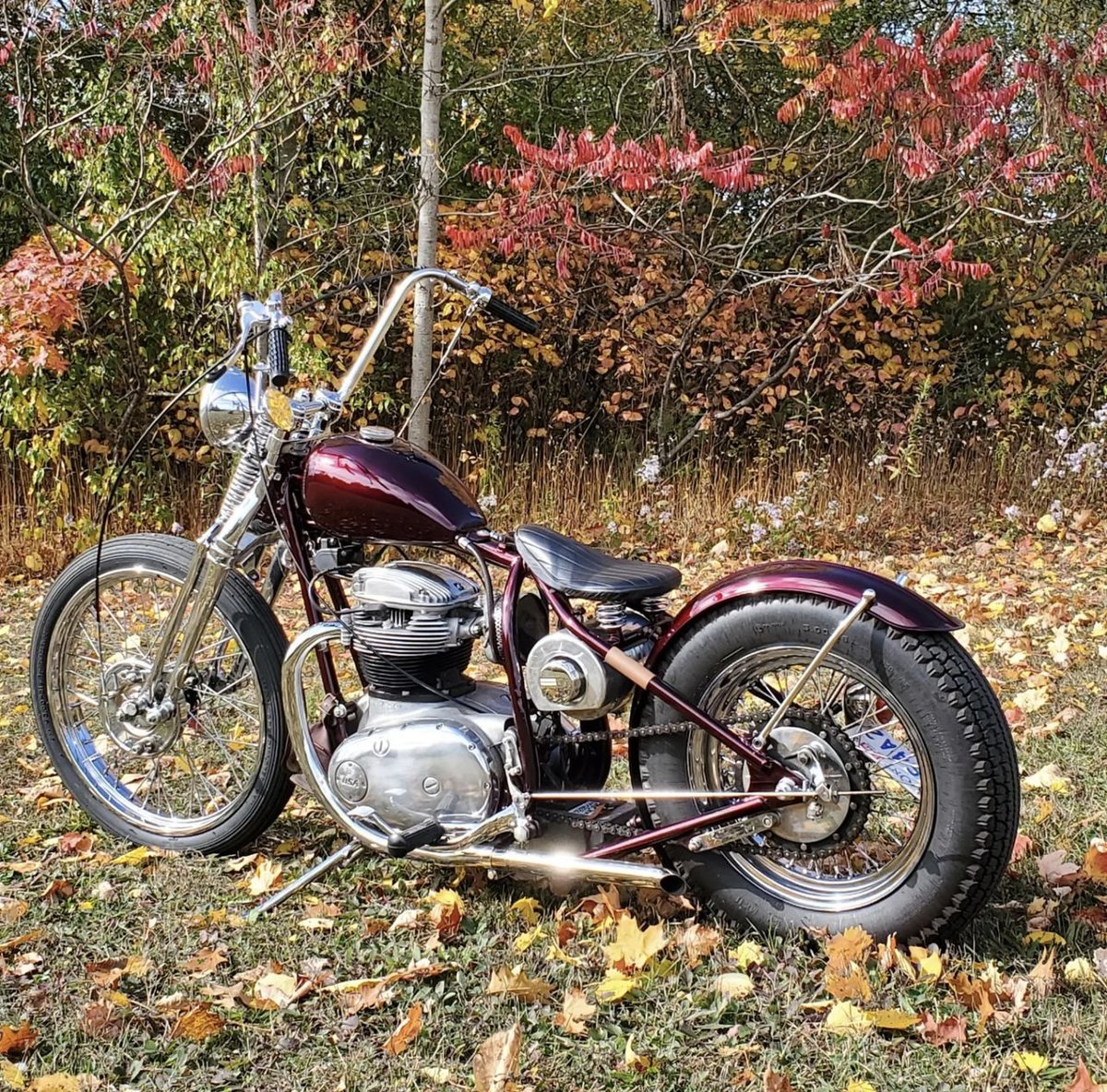 LowbrowCustoms's tweet photo. Nothing cooler than a nicely built BSA Chopper. @pmoon85 killed it on this one. Classy all around, great stance, beautiful paint, love the oil filter in the oil tank. Just a super beautiful build. Good work, man! #bsachopper #choppershit #buildsomething #chopitbuilditrideit https://t.co/TEV7M7Cx8Y