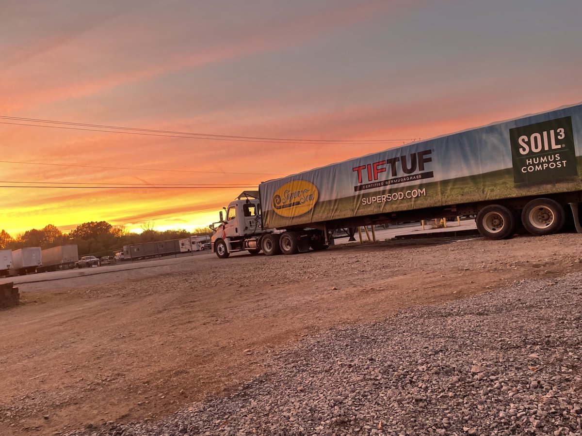 That's what we call a sunset 🌄
#sodgrass