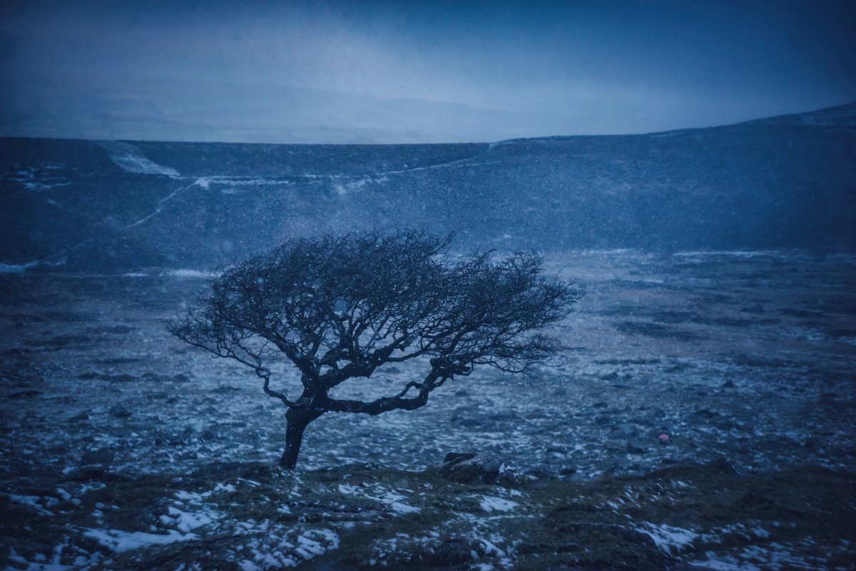 GlavindStrachan's tweet photo. #Hawthorn on #Dartmoor in the #snow yesterday ... on the edge of #ArmsTor π #DartmoorPhotographer #DartmoorPhotography https://t.co/k1YX3w2pyh