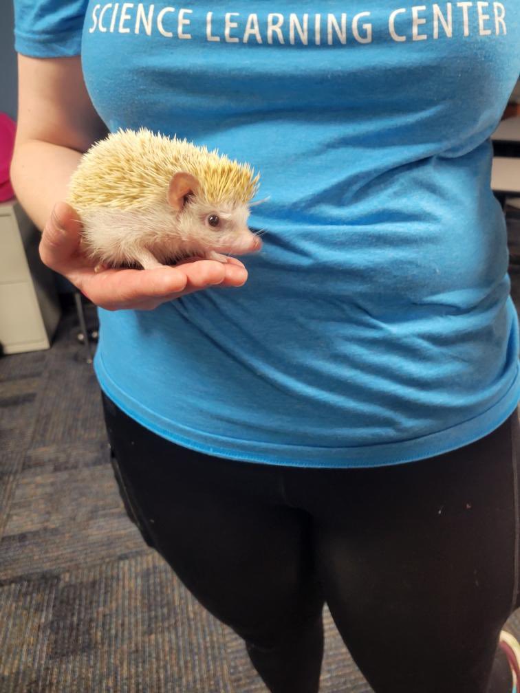 Dooley2nd's tweet photo. Excited to have the @pisdoutdoor here showing us some animals this morning. #pisdsciencerocks #PISDPoweredbyLearning #DragonsForevermore #PlanoProud https://t.co/deyoSXO7Gk