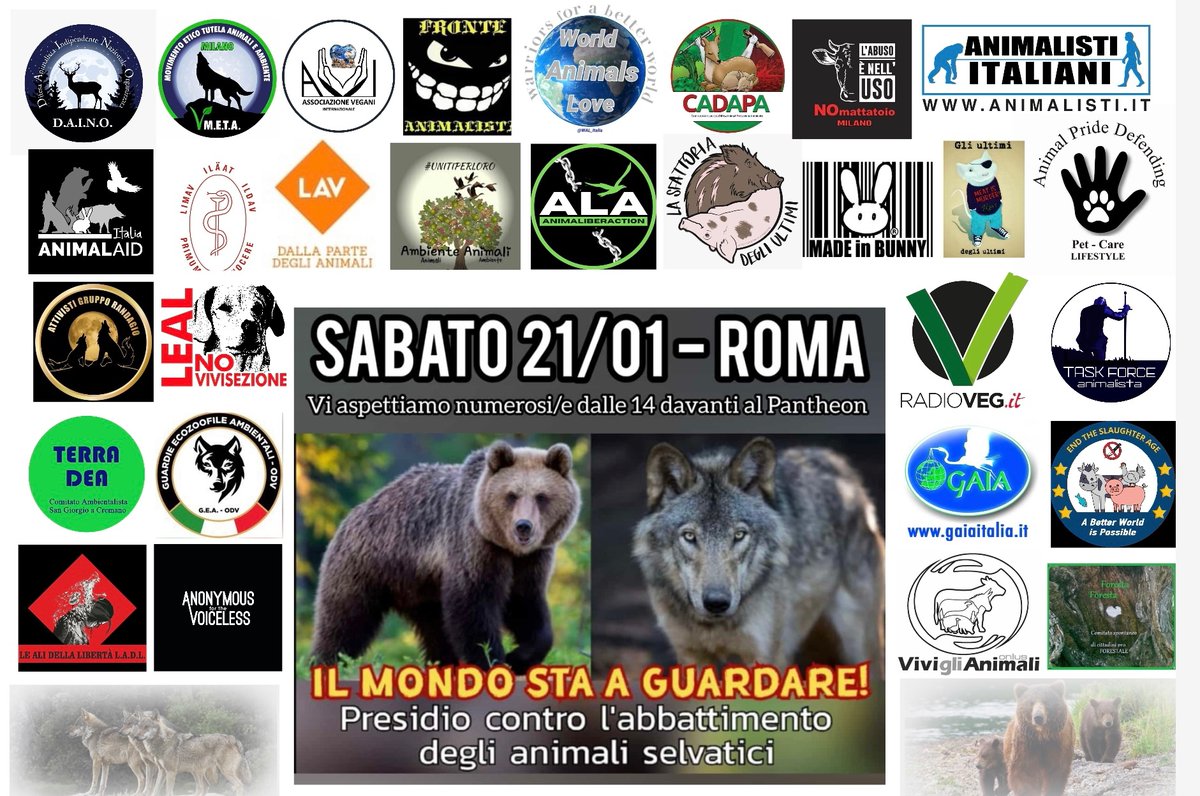 COMUNICATO STAMPA DELL'8 GENNAIO 2023
MANIFESTAZIONE A ROMA, IN PIAZZA DELLA ROTONDA (PANTHEON) - 21 GENNAIO 2023, ORE 14 - 17

“IL MONDO STA A GUARDARE”
m.facebook.com/story.php?stor…