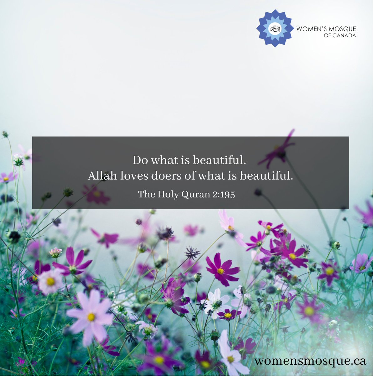Do what is beautiful,
Allah loves doers of what is beautiful.
The Holy Quran 2:195
#nature #spirituality #religion #quran #quranquotes #quranquote #quranquotesdaily #quranverses #quranverse #quranverseoftheday