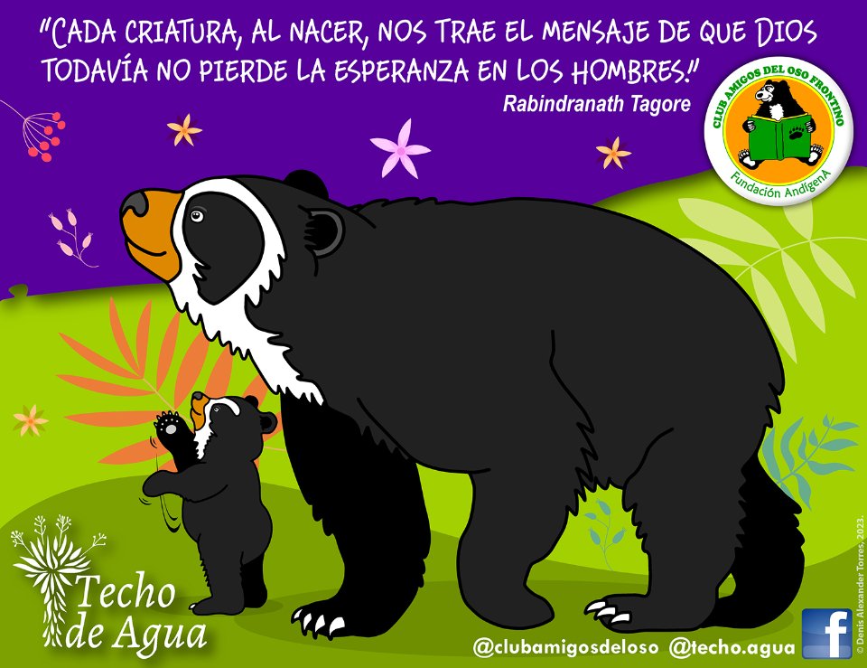 visiontorres2's tweet photo. Unidos por la conservación del oso andino... Corporación Ambiental Techo de Agua de Colombia y Fundación AndígenA de Venezuela.
#visiontorres #osofrontino #osoandino #clubamigosdeloso #osodeanteojos #educacionambiental #venezuela #colombia #techodeagua https://t.co/yLrw8Pt4BT
