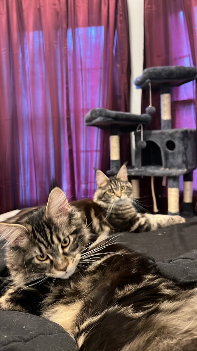 DeVaughn tweet media