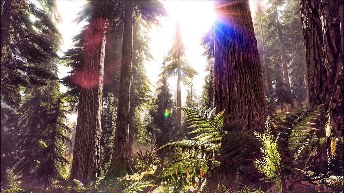 GrayFoxVP's tweet photo. The beautiful Hope Country ๐
#FarCry5
#VPRT
#WorldofVP
#VGPUnite
#UDLRFauna
#VirtualPhotography https://t.co/44LwIcpek0