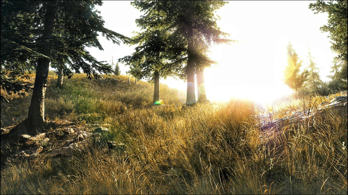 GrayFoxVP's tweet photo. The beautiful Hope Country ๐
#FarCry5
#VPRT
#WorldofVP
#VGPUnite
#UDLRFauna
#VirtualPhotography https://t.co/44LwIcpek0