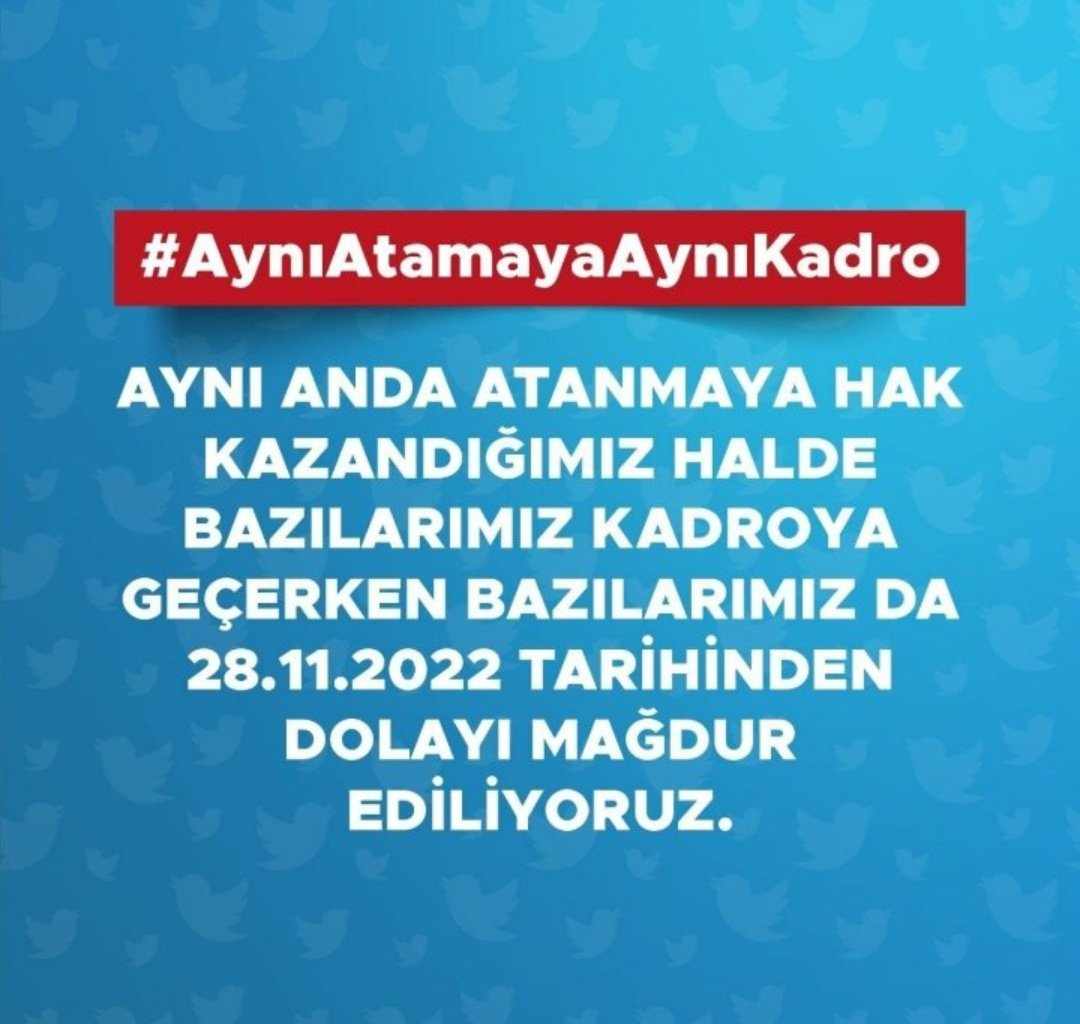 cendel_ibo's tweet photo. #AynıAtamayaAynıKadro 
@RTErdogan @_cevdetyilmaz @baskanbsakalli @mustafaelitas @vedatbilgn @yilmaztunc  
28 kasım tarihinden dolayı mağdur ediliyoruz https://t.co/92bqfxiFdA