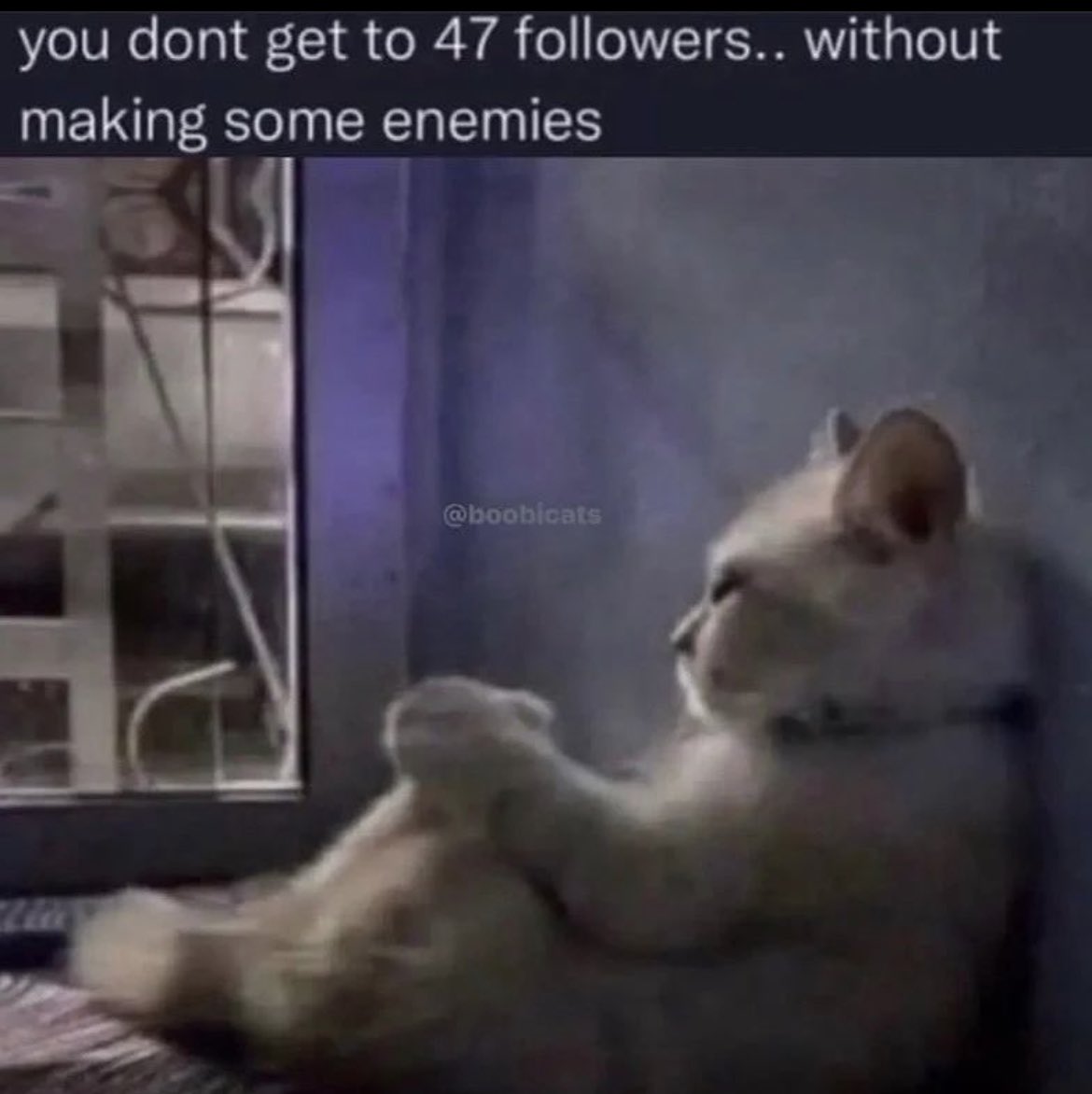 Sam8749 tweet media