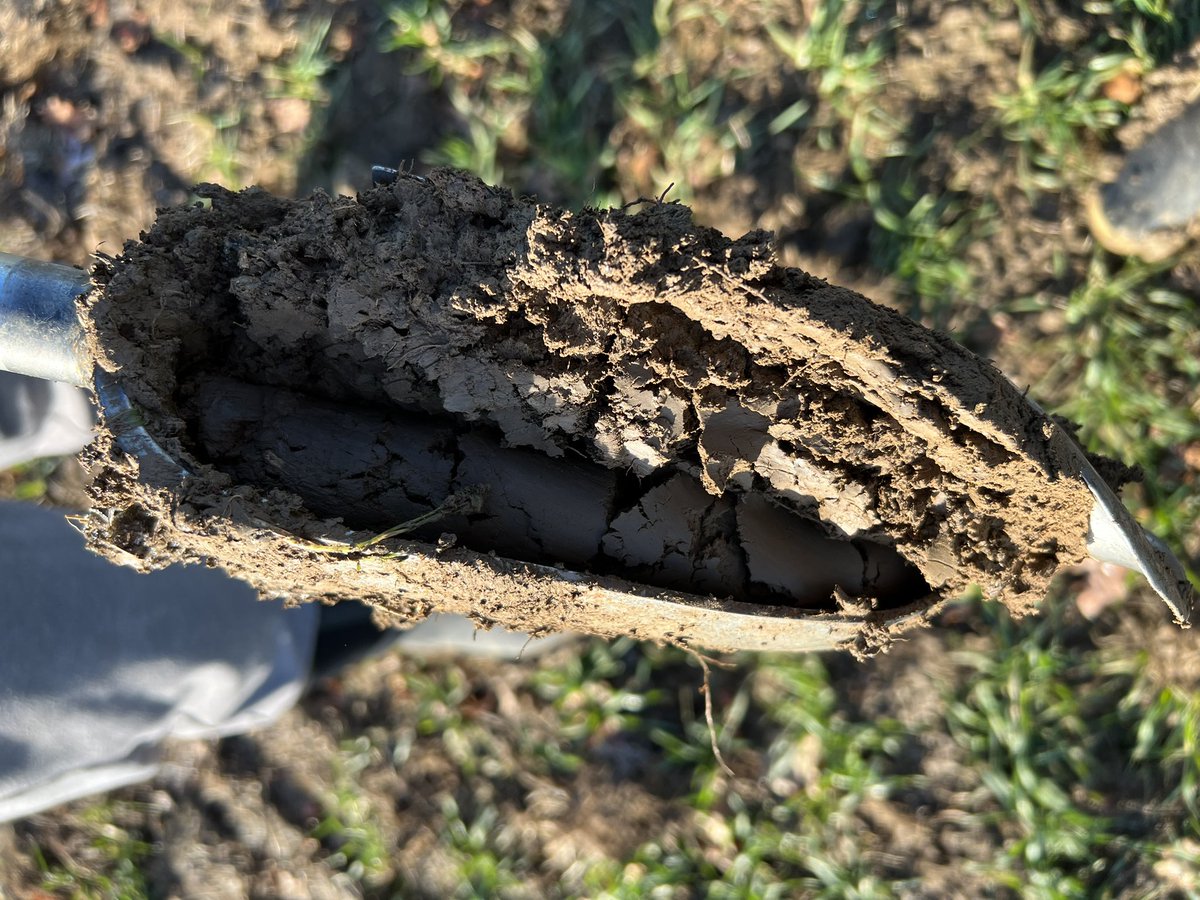 CRiddleston's tweet photo. It's been a while! Out collecting #soilsamples today for my #MScdisseration. Goodness me it's come around quickly! https://t.co/Wh1kVE8hSB