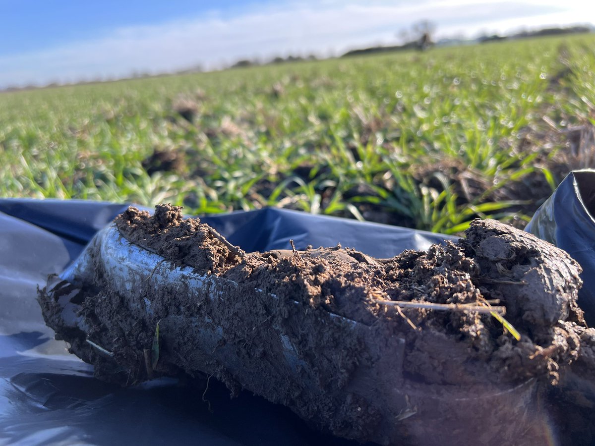 CRiddleston's tweet photo. It's been a while! Out collecting #soilsamples today for my #MScdisseration. Goodness me it's come around quickly! https://t.co/Wh1kVE8hSB