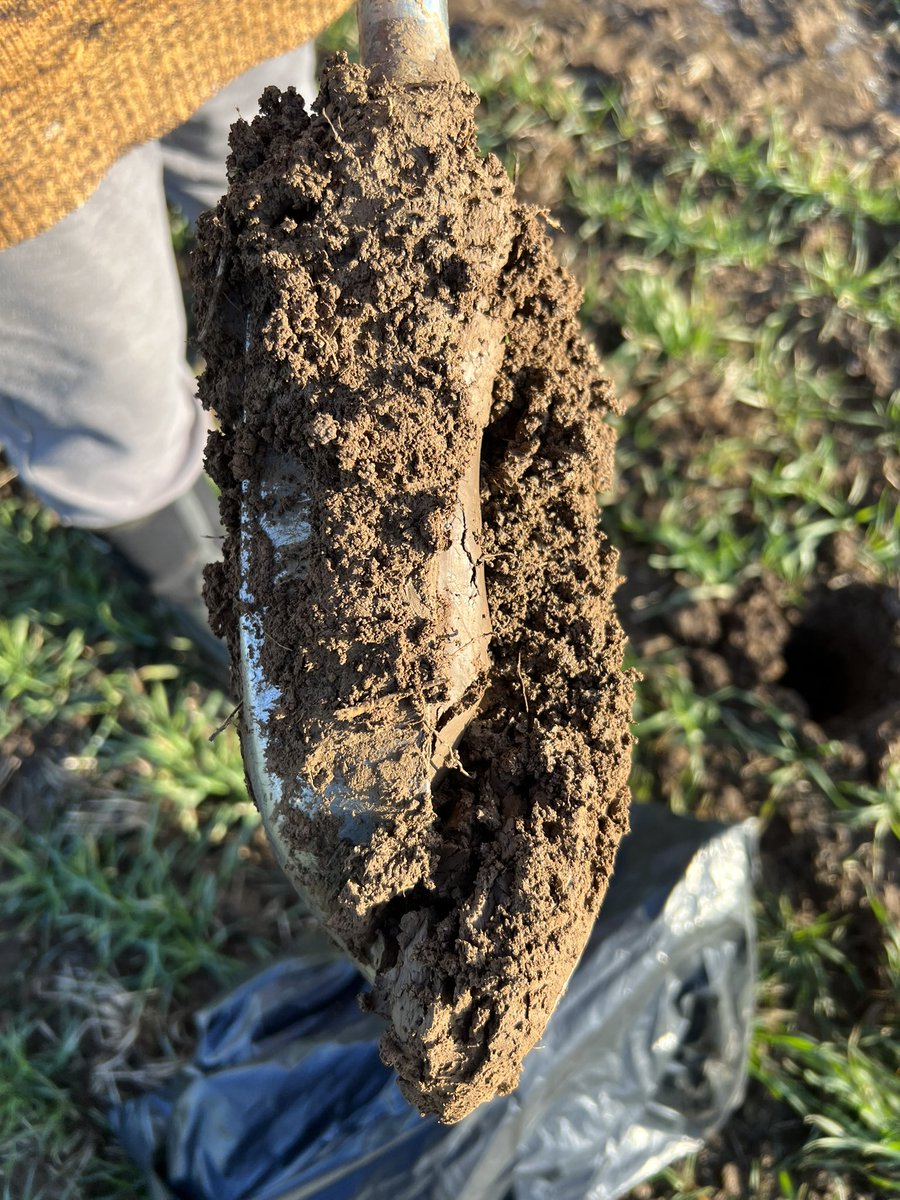 CRiddleston's tweet photo. It's been a while! Out collecting #soilsamples today for my #MScdisseration. Goodness me it's come around quickly! https://t.co/Wh1kVE8hSB