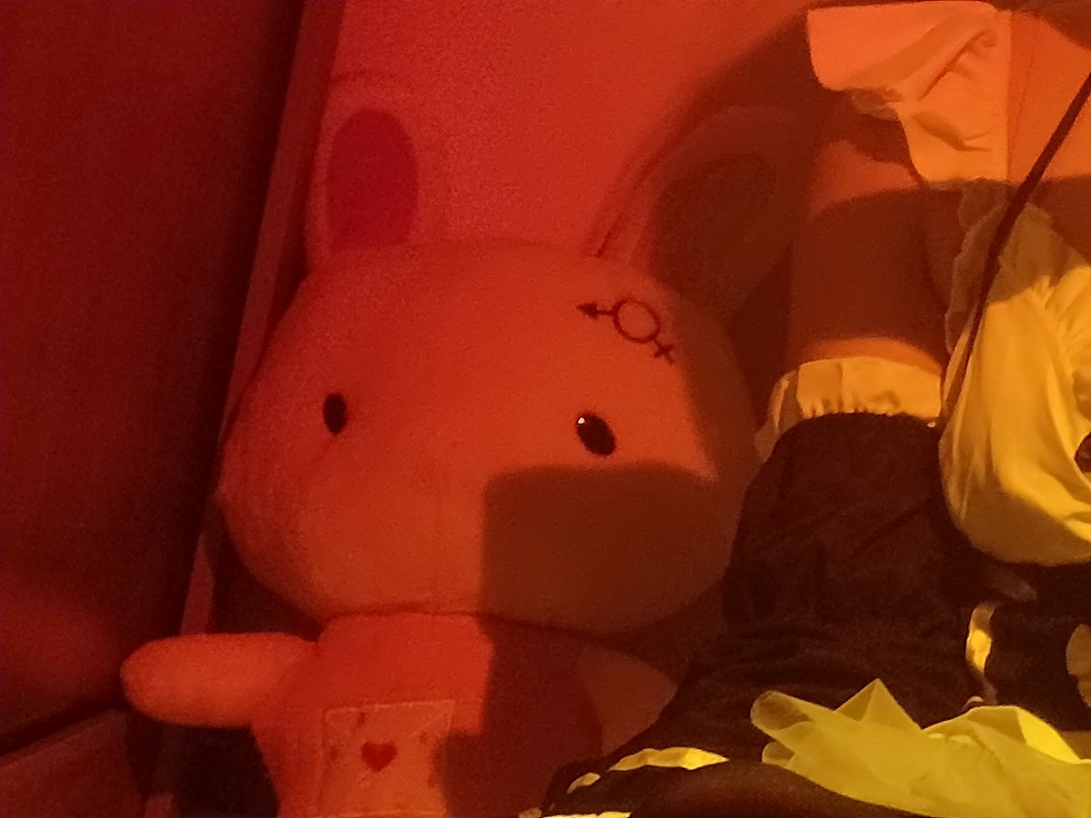 DounoJi's tweet photo. 蕾姆会在家好好的等主人回来的 https://t.co/NrJc1nrqa9