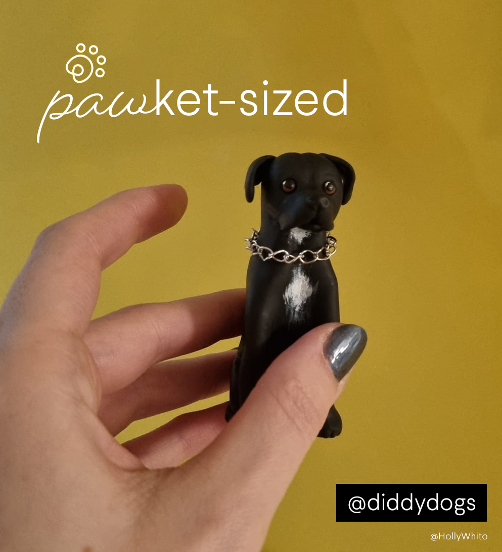 HollyWhito's tweet photo. Camera roll is full of miniature dog photos as I was busy making this guy last night. So here's a cheeky plug to my Clay miniature dog account: https://t.co/7l30NOznb8
@OneMinuteBriefs: Advertise ANYTHING using the last 10 photos on your camera roll. 📸 👀 #CameraRollAdChallenge https://t.co/K9ArospJOX