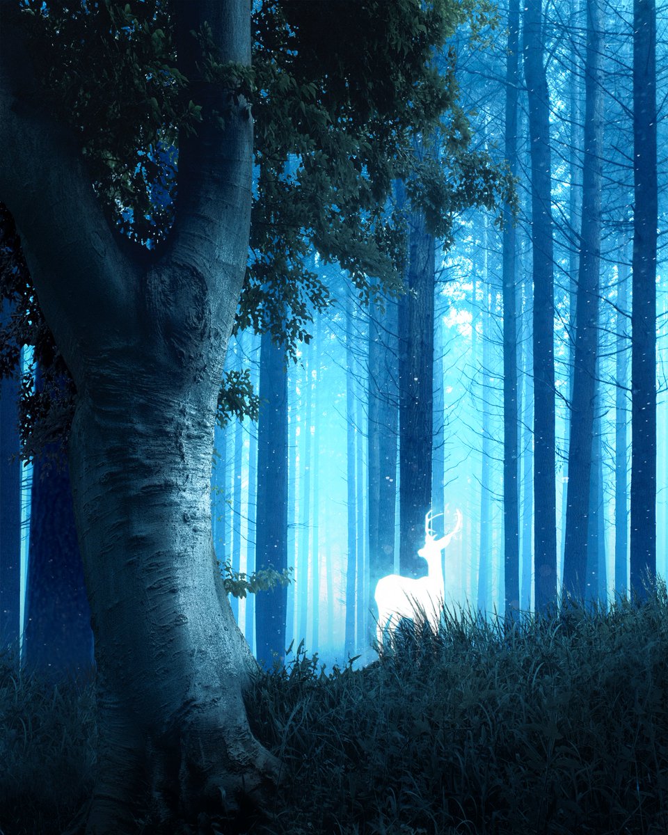 arijitworks's tweet image. TITRATION
Available exclusively on @_Dartroom for 400 $ALGO

#algoart

dartroom.xyz/nfts/asa/93903…