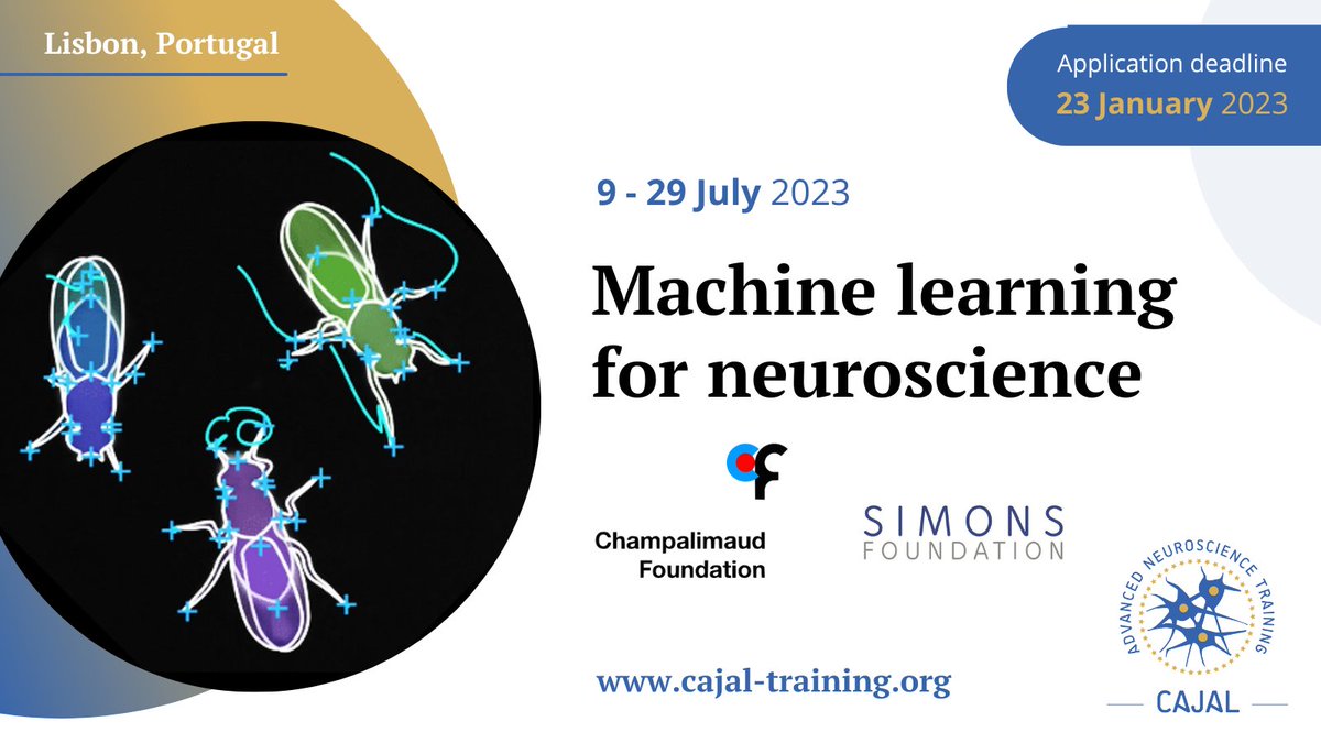 The CAJAL Advanced Neuroscience Training Programme (@cajal_training) on Twitter photo 📣 Deadline: 23 Jan 2023.
Discover CAJAL's new Artificial intelligence course: Machine learning for neuroscience. Apply 👉 loom.ly/zgGKEQ0
📆 9-29 July 23
🌍 <a href="/Neuro_CF/">ChampalimaudResearch</a> Lisbon, Portugal
👥 <a href="/dePolavieja/">Gonzalo de Polavieja</a> <a href="/KristinMBranson/">Kristin Branson @kristinmbranson@social.coop</a> <a href="/memming/">Il Memming Park</a>
#computation #AI #DataAnalysis #behaviour 📣 Deadline: 23 Jan 2023.
Discover CAJAL's new Artificial intelligence course: Machine learning for neuroscience. Apply 👉 loom.ly/zgGKEQ0
📆 9-29 July 23
🌍 <a href="/Neuro_CF/">ChampalimaudResearch</a> Lisbon, Portugal
👥 <a href="/dePolavieja/">Gonzalo de Polavieja</a> <a href="/KristinMBranson/">Kristin Branson @kristinmbranson@social.coop</a> <a href="/memming/">Il Memming Park</a>
#computation #AI #DataAnalysis #behaviour