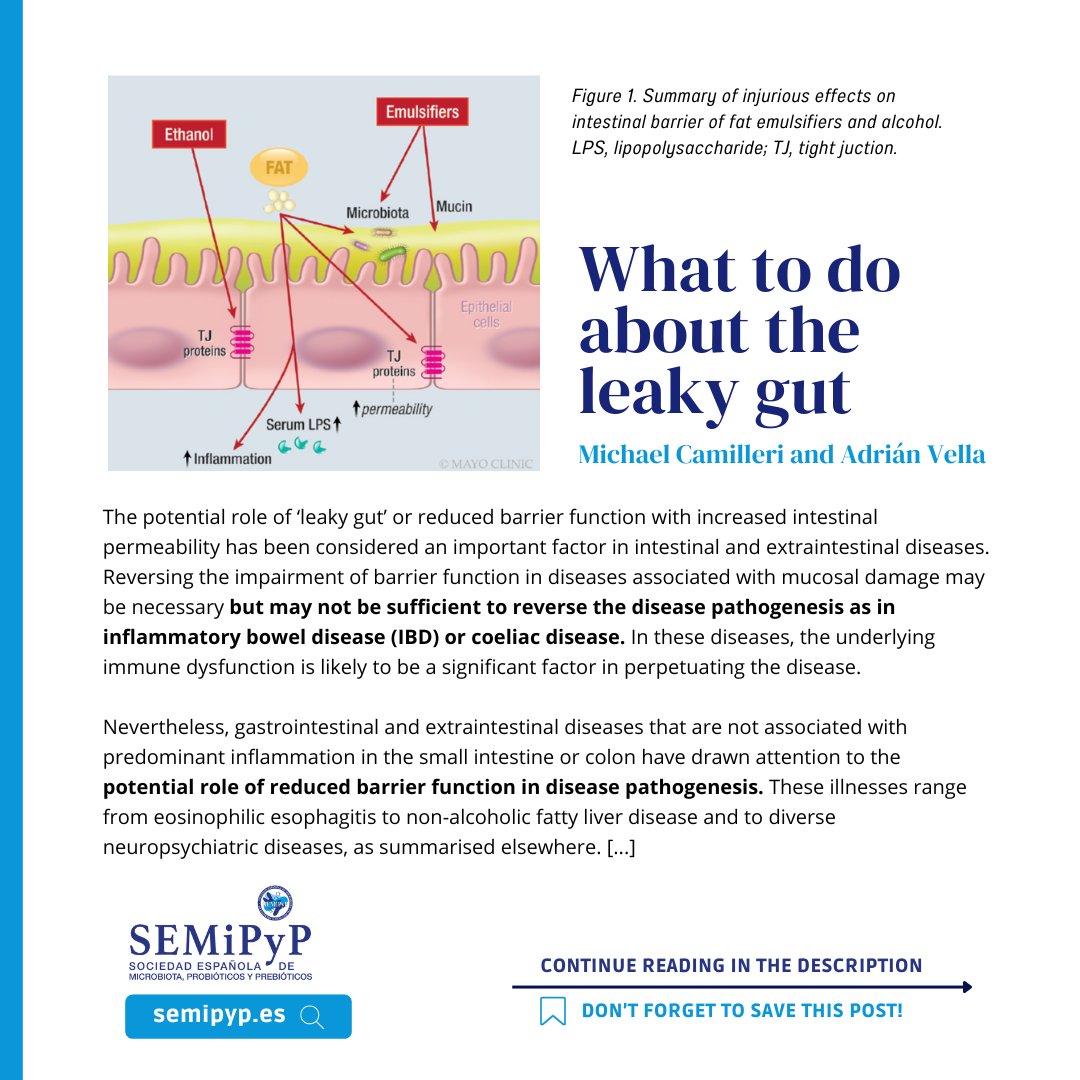 SEMiPYP's tweet photo. 📄 "The potential role of ‘leaky gut’ or reduced barrier function with increased intestinal permeability has been considered an important factor in intestinal and extraintestinal diseases [...]

🔗 https://t.co/88rGicNXhe

#leakygut 
#intestinaldisease 
#inflammatoryboweldisease https://t.co/rvWMoGHMke
