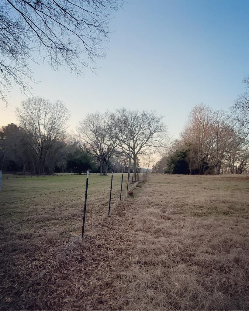 kinseyatoz's tweet image. "Show me your ways, LORD, teach me your paths. Guide me in your truth and teach me, for you are God my Savior, and my hope is in you all day long." Psalm 25:4-5 #guideme #teachme #myhopeisinyou