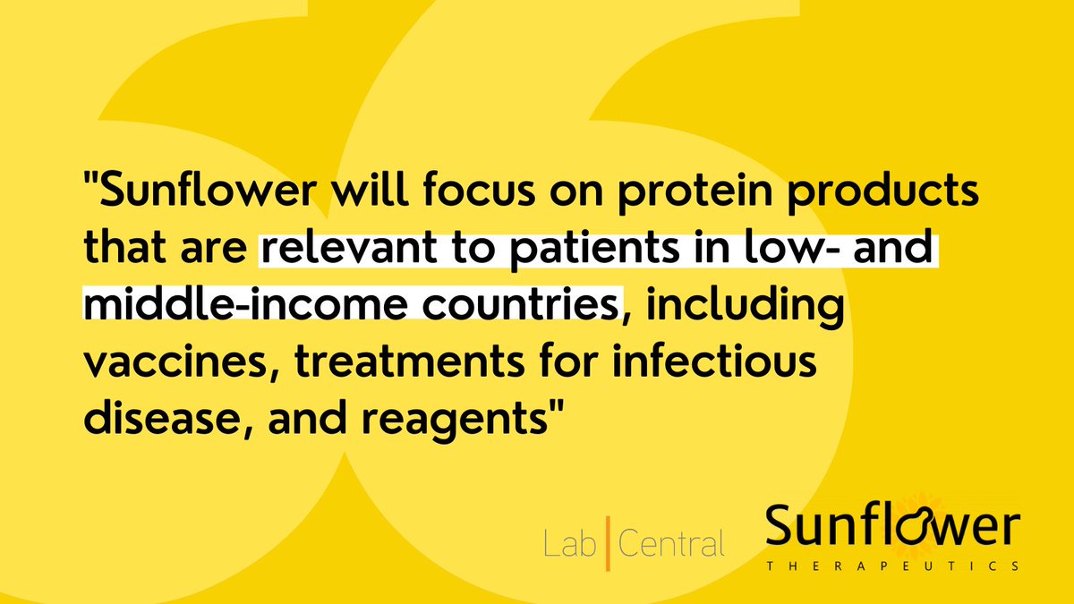 LabCentral's tweet photo. Congratulations to LabCentral resident company, Sunflower Tx! The company today announced they have been awarded a $9M grant from @gatesfoundation to support the optimization of their
Dahlia small-footprint protein manufacturing system. 
Learn more: https://t.co/KzwumkVn1G https://t.co/UlbxPHfwto