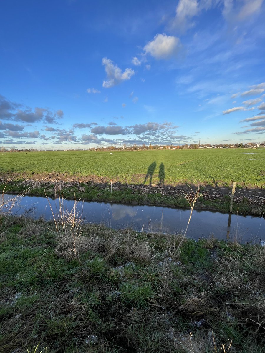 ginakranendonk's tweet photo. Middagje ‘peuteren’ op de #Woerd’ maar verstrikt in telling op het #Haas +150 in prachtlandschap hier met WBE _Delfland enthousiaste & kundige biotoop verbeteraars top #keverbanken #vlechtheggen #plasdrassen #jagersdoenmeer
#wbedelfland #jagen #biotoop @jagersvereninging https://t.co/QSnReTQT5n