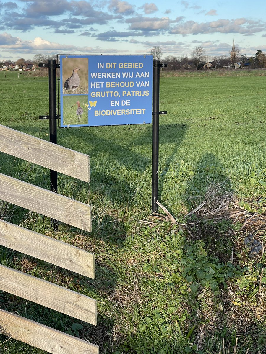 ginakranendonk's tweet photo. Middagje ‘peuteren’ op de #Woerd’ maar verstrikt in telling op het #Haas +150 in prachtlandschap hier met WBE _Delfland enthousiaste & kundige biotoop verbeteraars top #keverbanken #vlechtheggen #plasdrassen #jagersdoenmeer
#wbedelfland #jagen #biotoop @jagersvereninging https://t.co/QSnReTQT5n