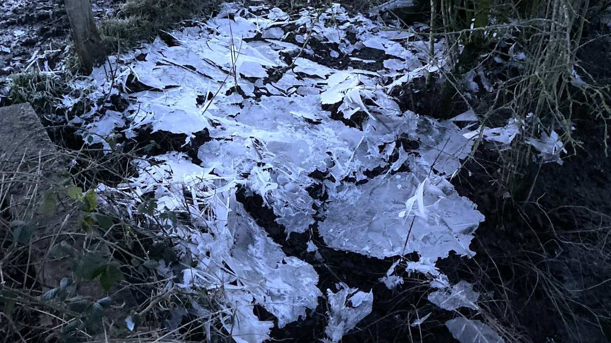 ParallelNoir's tweet photo. GM/GN .. Frozen flood water, icy spell overnight makes some beautiful patterns everywhere today https://t.co/rtS4Az8j24
