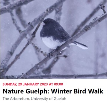 Join Nature Guelph, Bird Wing Group on Sunday, January 29th &amp; discover the wonderful world of winter birds!❄ See link below for details &amp; advance registration. What birds will you see?!?!🐦 natureguelph.ca/events/nature-…  #natureguelph #ArboretumGuelph