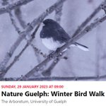 Photo by Wild Birds Unlimited Guelph (@wbuguelph)