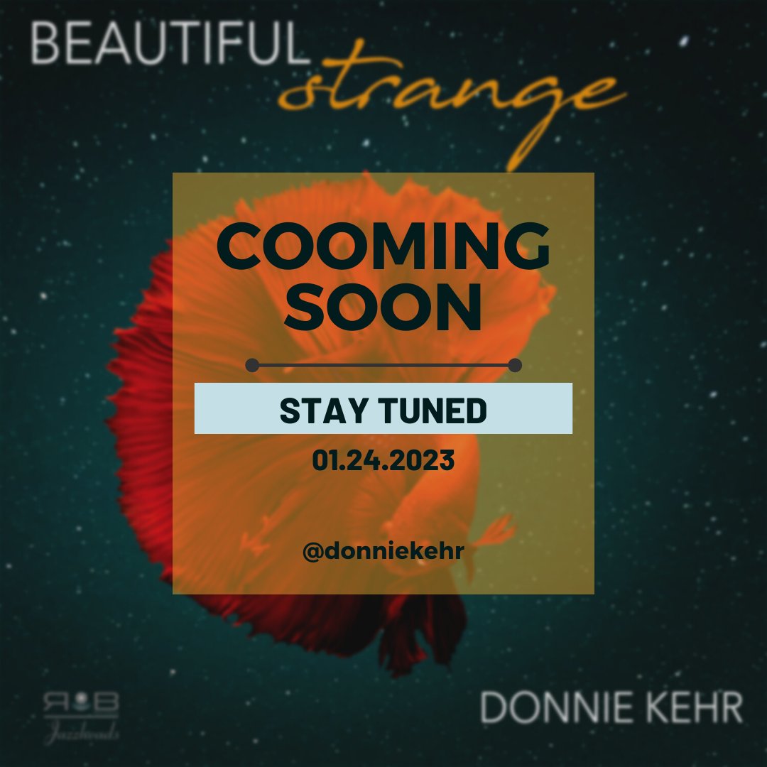 PATHandRockers's tweet photo. R.O.B. Record is so excited for our second release with our very own Donnie Kehr's BEAUTIFUL STRANGE coming in one week. PRE ORDER NOW. #beautifulstrange #newmusic #broadway #rockersonbroadway #robrecords #comingsoon #thewhostommy #jerseyboys #jazzheads #nycmusic #donniekehr https://t.co/0AvATTNMv7
