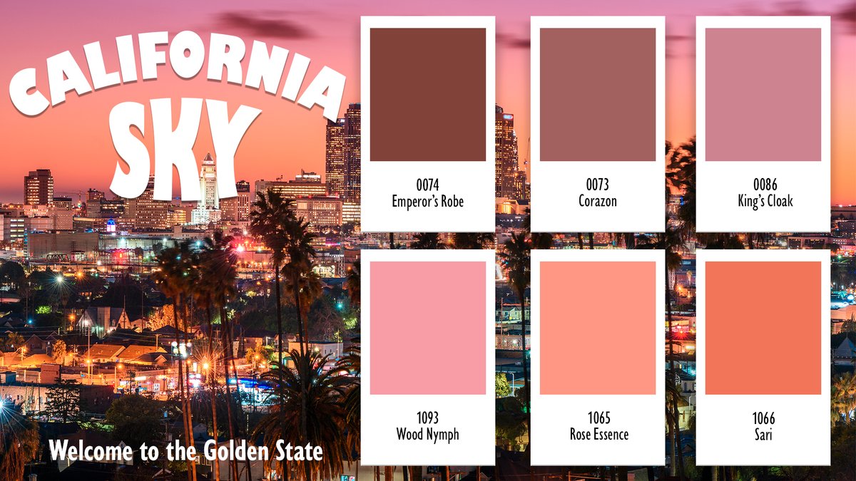 Vista Paint tweet media