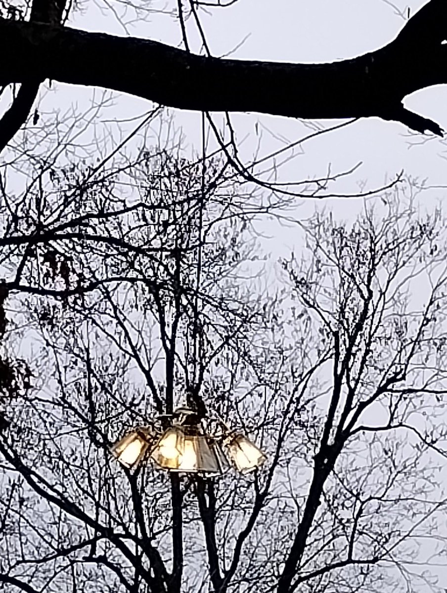 Redneck Technology

Yes, it is a indoor light fixture
Yes, it is on a live wire hanging over a tree branch
Yes, it is also raining outside

My friend from Knoxville Tennessee just texted me with the photo https://t.co/8kSBLYRSTO